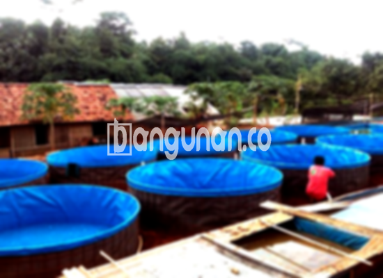 Jual Kolam Terpal di Beji Depok