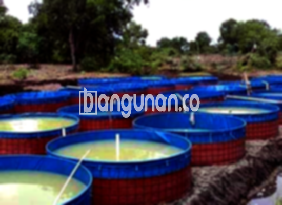 Jual Kolam Terpal di Batu Malang
